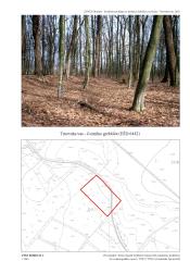 Gomilno grobišče v Trnovski vasi